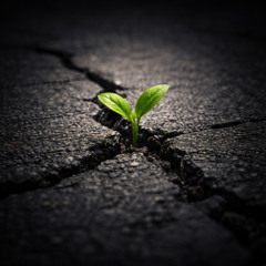 her şeyin ilacı zaman 3.0