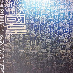 free EPUB 💕 The King of Kowloon: The Art of Tsang Tsou Choi by  Hou Hanru,Ou Ning,Da