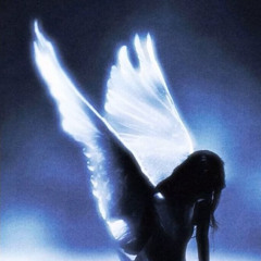 to fly you must fall