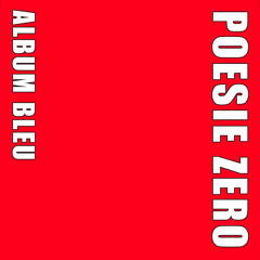 C4EST NOUS LES PUNKS- POESIE ZERO