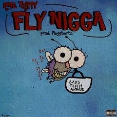 Fly Nigga Prod@plugghurtz