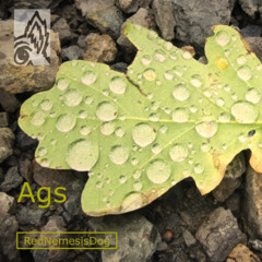 Ags