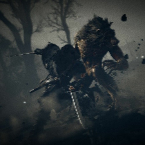 Peyton Parrish  Draugr Viking Old Norse Rise of Vikingr ll Viking Music