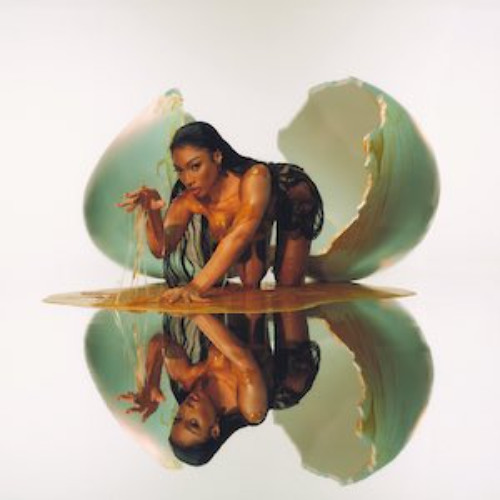 Megan Thee Stallion - Where Them Girls At (James Campbell Remix) [Clean]