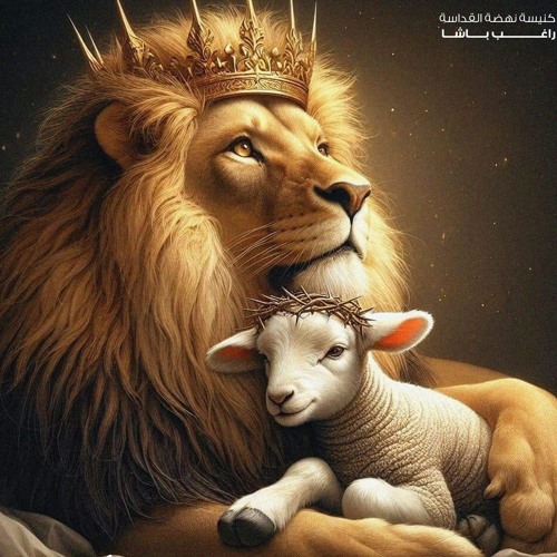 لان مراحمه لا تزول (مارتن ماجد - كيفين نشأت)