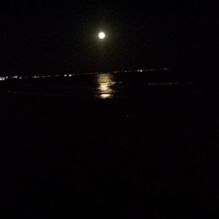 Venus Moon