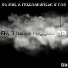 All These Niggas Ft. Freemanomega & FMR (Prod By FMR.)