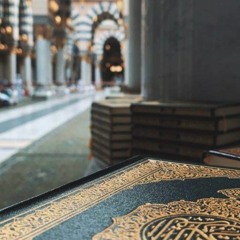 فَلَا تَعْلَمُ نَفْسٌ مَّا أُخْفِيَ لَهُم مِّن قُرَّةِ أَعْيُنٍ | سورة السجدة | القارئ محمد العديني