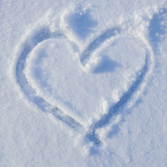 Snow (in I) love (you)
