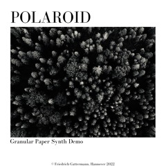 Polaroid - Pianobook Demo