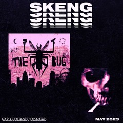 The Bug - Skeng ft. Flowdan & Killa P (SOUTHEAST HAYES EDIT)