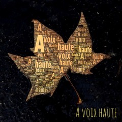 A Voix Licencieuse - Laurent H - J'ai si souvent - Sous la blouse des infirmières- Yannick Debain.m4a