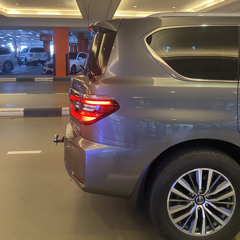 فريد الملامح - عيضه المنهالي