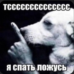 SYBAU VOL.2