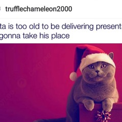 CheerfulBoyz anthem🥰🥰😜ft summrs (dj burger)#cnc