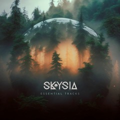 Skysia: Essentials