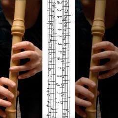 paisible not paisible