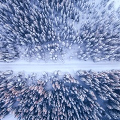 COLD. [prod. memento]