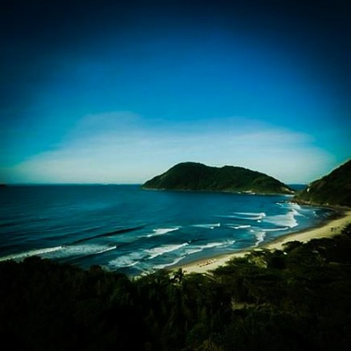 the samba down by the beach