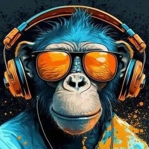 𝐒𝐋𝐎𝐖 𝐃𝐈𝐒𝐊𝐎 2