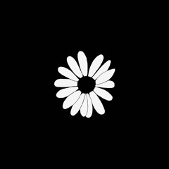 Camomile (Feat. Zaarr)
