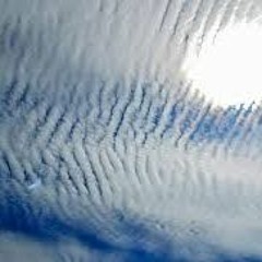 Artificial Weather by Pete Galub and Matt Kanelos