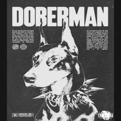 Doberman