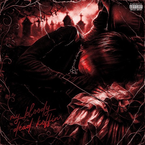 hide my smile p. bstrxy