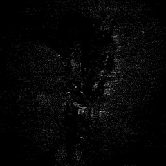 cashavist - shook prod dias