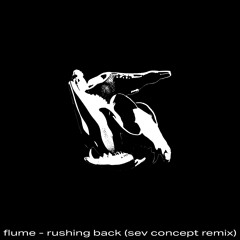 flume - rushing back (i. s. gaull remix)