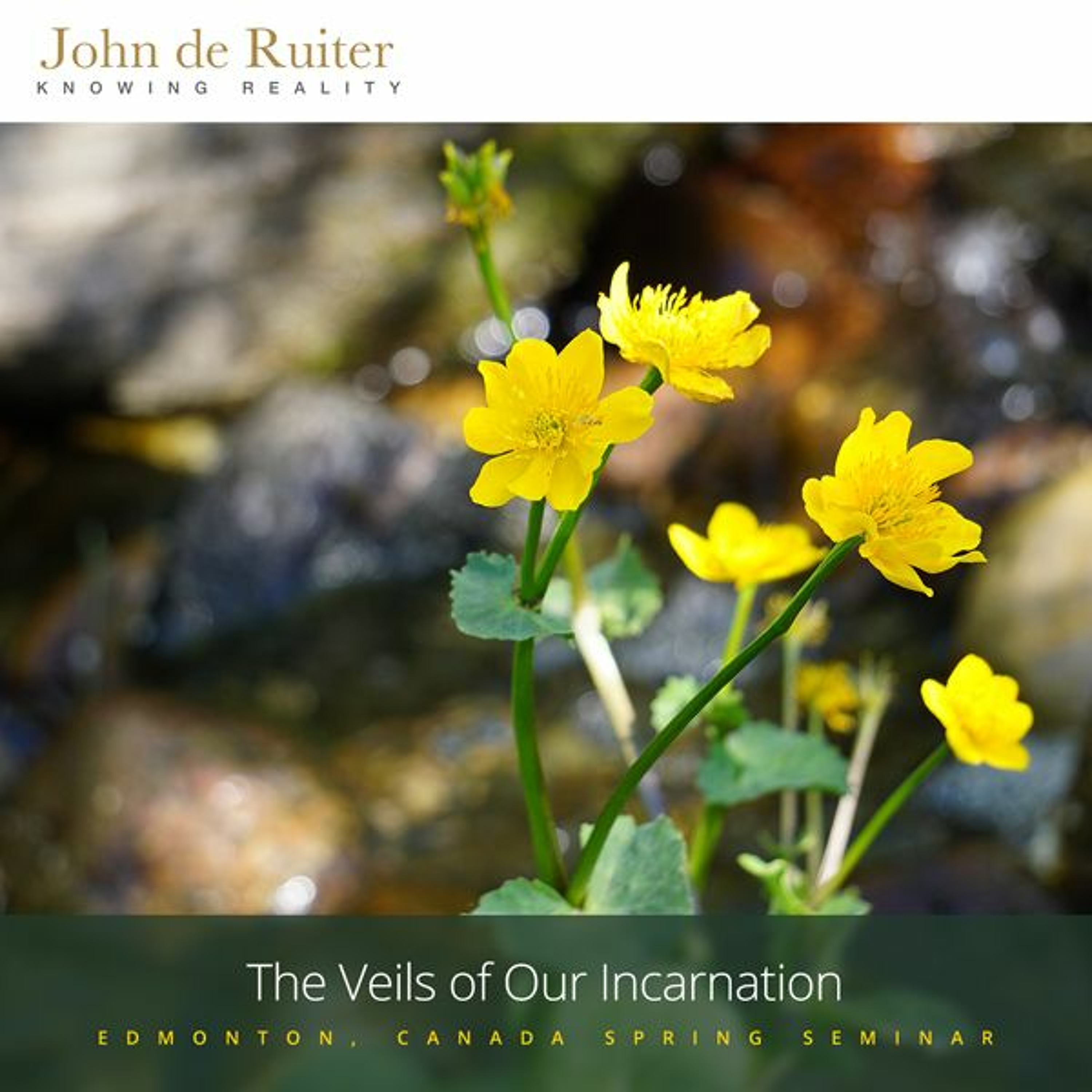 306 - The Veils of Our Incarnation - 2 of 2 episode artwork
