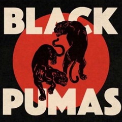 Black Pumas -  Colors