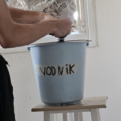 vodnik