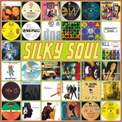 S.W. presents Silky Soul - A vocal ride into early 90s Garage House
