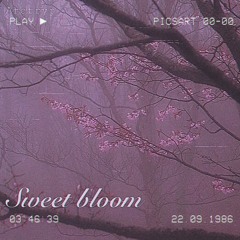 Sweet bloom