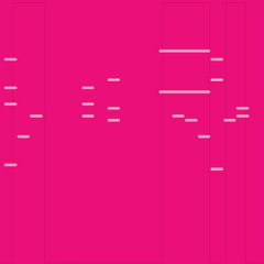 -A gentle piano piece about fading memories on a sunset hill.-