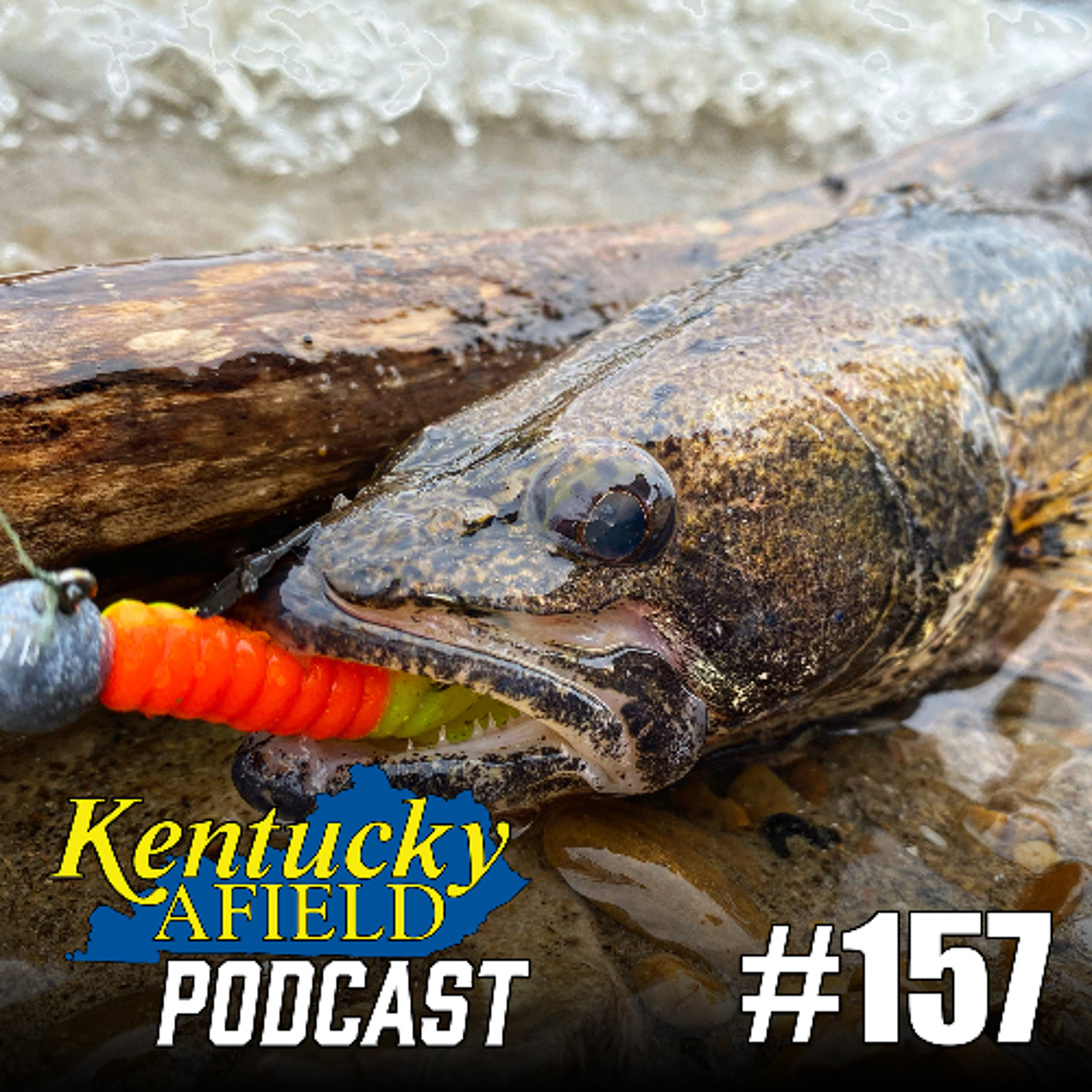 #157 David Baker - Good Fishing RIGHT NOW, Habitat Work, How You Can Help