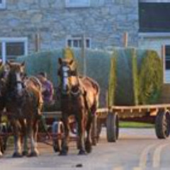 Review Special Price Premium Amish Country Tour Including Amish Farm And House