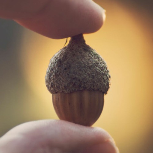 SCIENTISTS SAY FERTILIZE intelligence overview