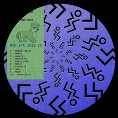 [PREMIERE] Pelerin - Disco Stup | Binary Sound [2023]