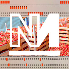 Work All Day, Work All Night: 'Sacrificing Your Life' for the Food Supply Chain