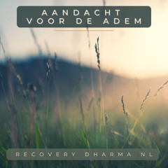 Aandacht voor de Adem