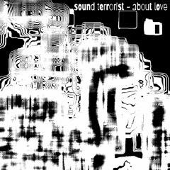 Sound Terrorist - About Love