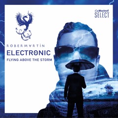 Electronic • Flying Above The Storm
