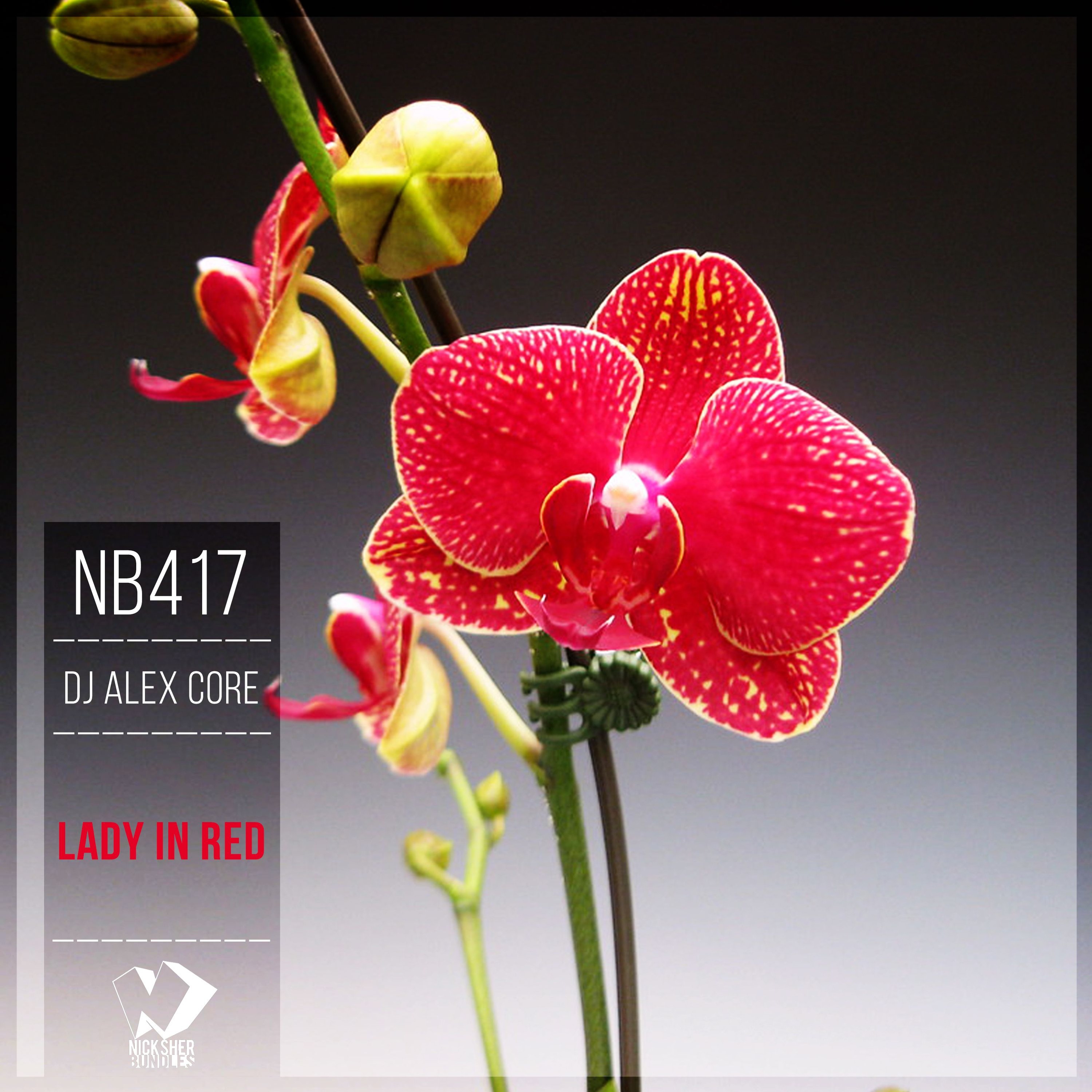 Dj Alex Core - Space (Original Mix) episode artwork