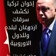 ردا على منصور واخوان تركيا بنفتح دفاتر اردوغان فى سرقة بلده والدول  الثانية
