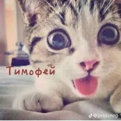 Что такое перк? w/babyprince