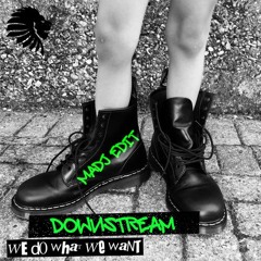 Downstream We Do What We Want (MADJ Edit)