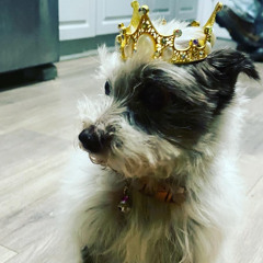 This Aint Me Its Plato