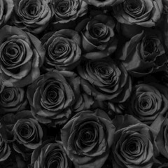 Black Roses in the Shadows